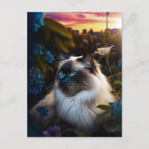 Carte Postale Chat Birman dans le jardin de la ville au Sundown 