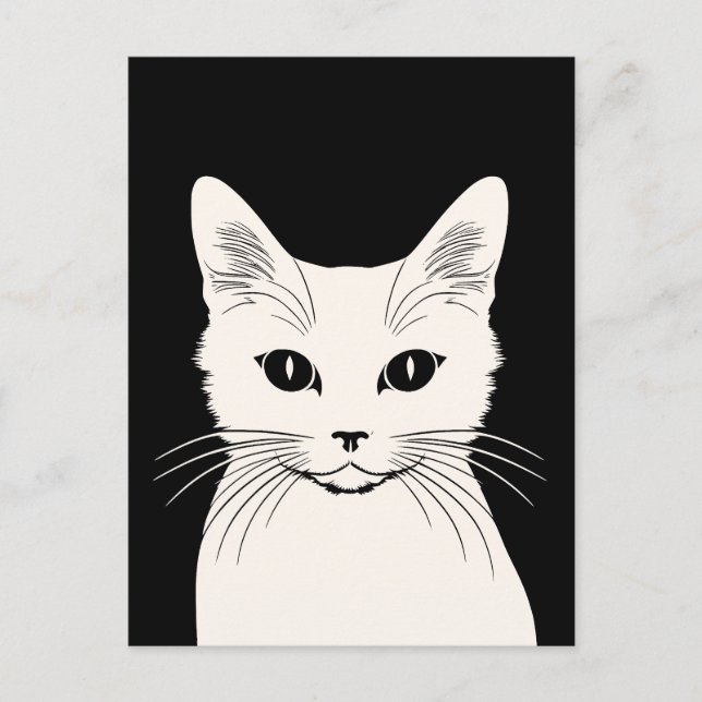 Carte Postale chat blanc (Devant)