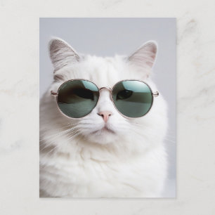 Carte Postale Chat blanc avec lunettes de soleil, félin cool, ch