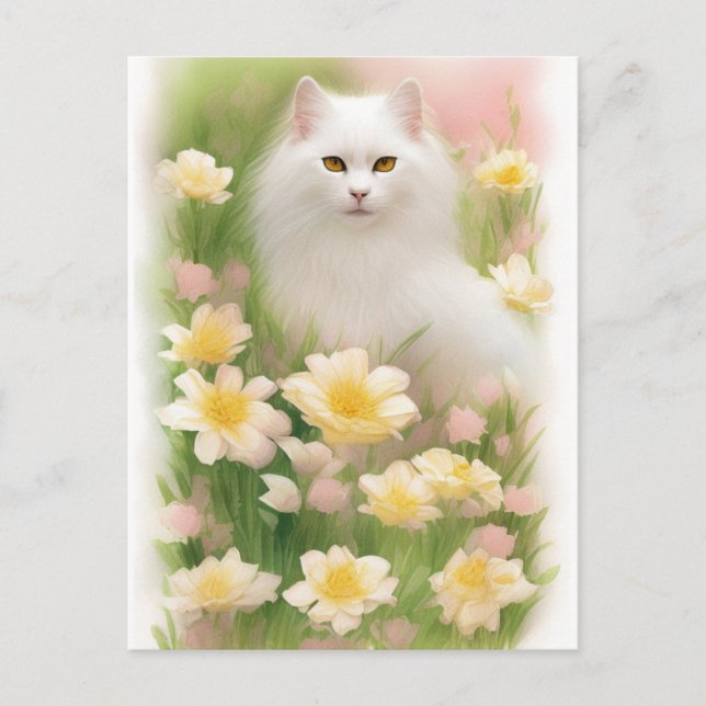 Carte Postale Chat blanc long (Devant)