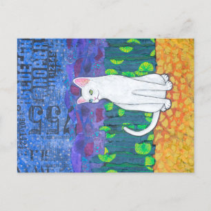 Carte Postale Chat Blanc Odd Eyed