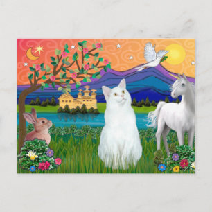 Carte Postale Chat blanc - Terre Imaginaire