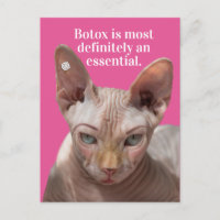 Chat-Botox Rincé Drôle Est Essentiel