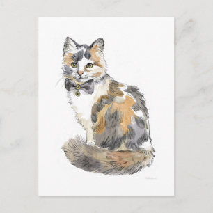 Carte Postale Chat Calico Fancy
