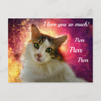 Chat Calico Mignon Adorable