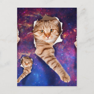 Carte Postale Chat cherchant dans l'espace côté trou déchiré