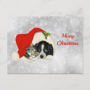 Carte Postale Chat Chien Cute Père Noël Casquette Noël