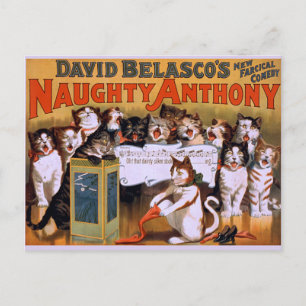 Carte Postale Chat Chorus ! -Carte postale