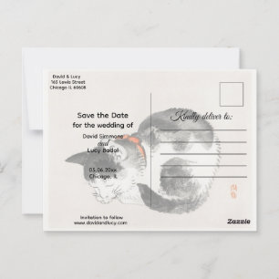 Carte Postale Chat couché