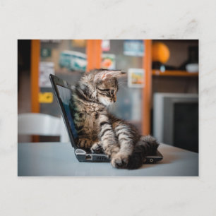 Carte Postale Chat couché sur le Carnet
