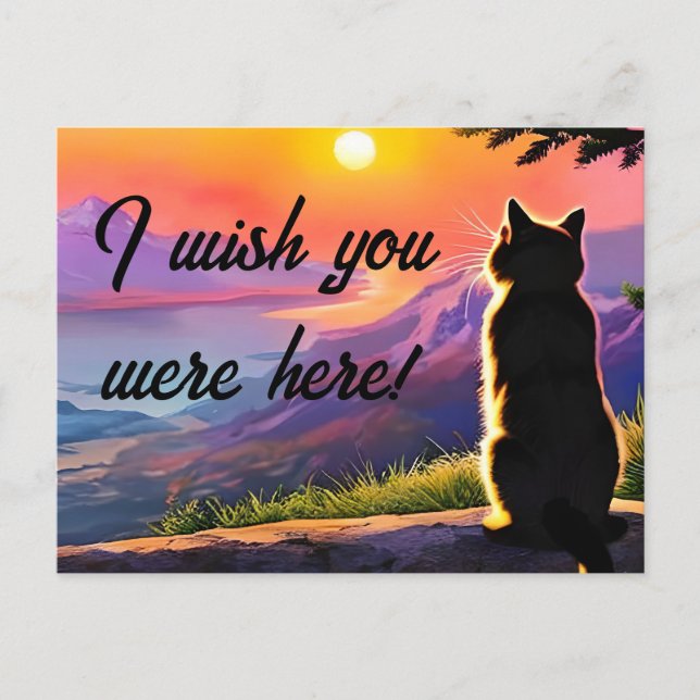 Carte Postale Chat d'Anime au coucher du soleil (Devant)