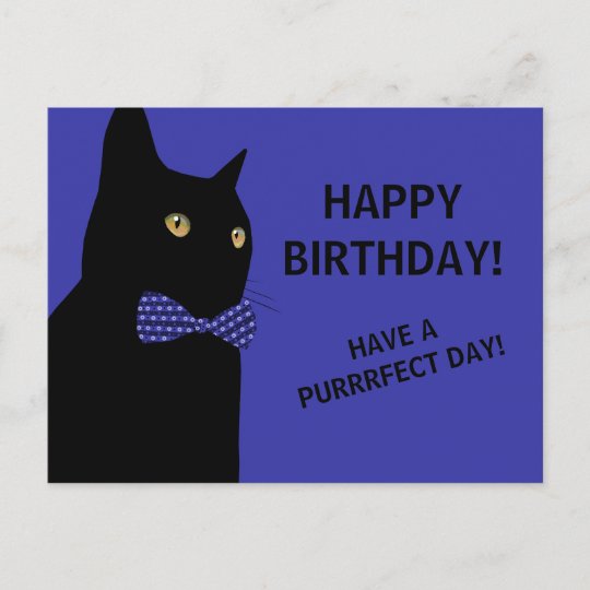 Carte Postale Chat D Anniversaire Noir Joyeux Avec Cravate Bleu Zazzle Ca