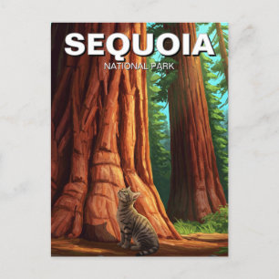 Carte Postale Chat dans le parc national de Sequoia en Californi