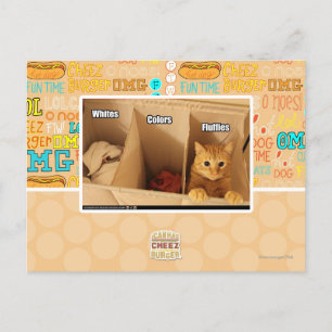 Carte Postale Chat de blanchisserie