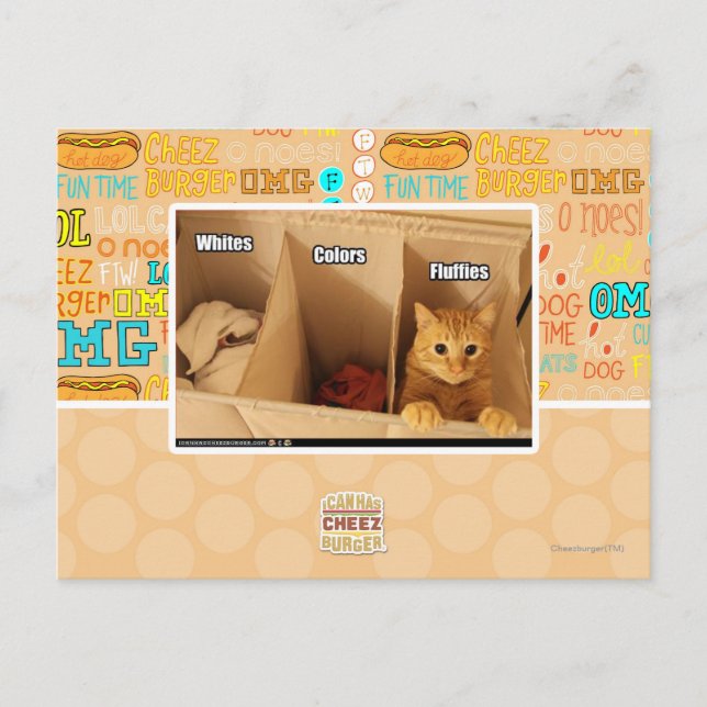 Carte Postale Chat de blanchisserie (Devant)