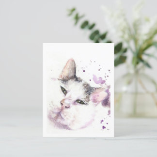 Carte Postale Chat de chasse