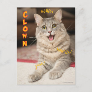 Carte Postale Chat de clown