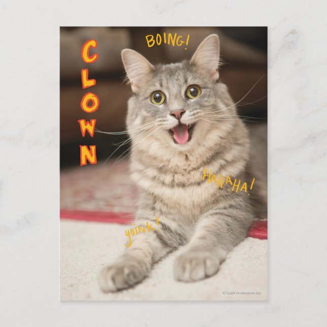 Carte Postale Chat de clown (Devant)