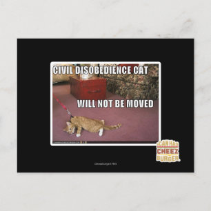 Carte Postale Chat de désobéissance civile