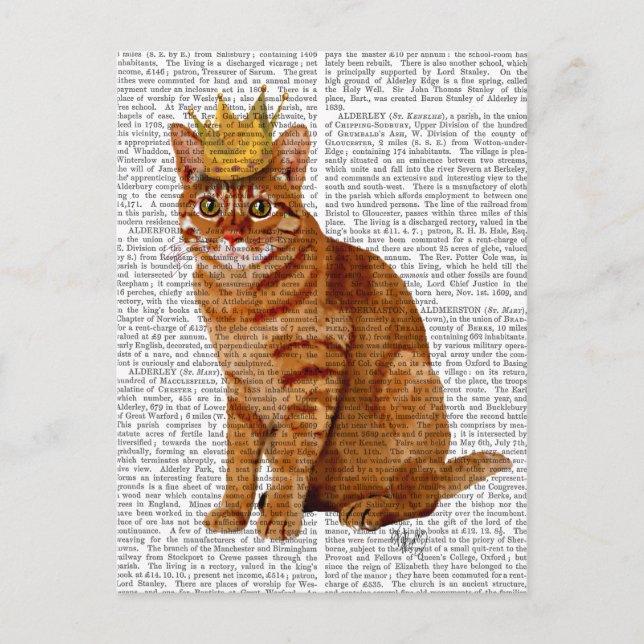 Carte Postale Chat de gingembre avec couronne (Devant)