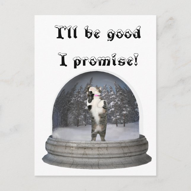 Carte Postale Chat de globe de neige (Devant)