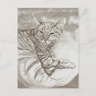 Carte Postale Chat de Kitty