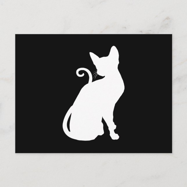 Carte Postale Chat de la Maison Blanche (Devant)