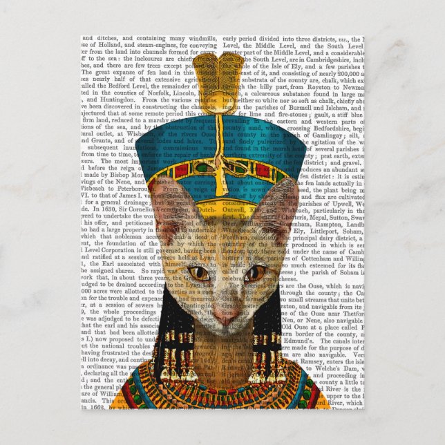 Carte Postale Chat de la reine égyptienne (Devant)