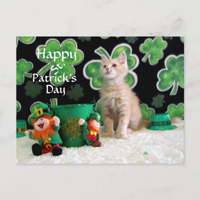 Carte Postale Chat de la Saint Patrick de Buffington / Kitten (Devant)