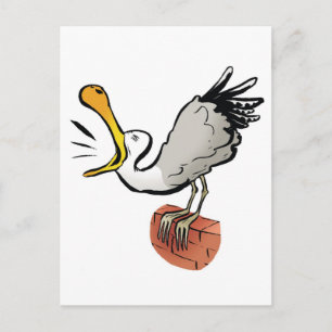 Carte Postale Chat de mouette