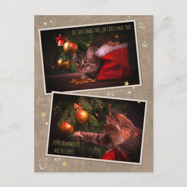 Carte Postale Chat de Noël humoristique (Devant)
