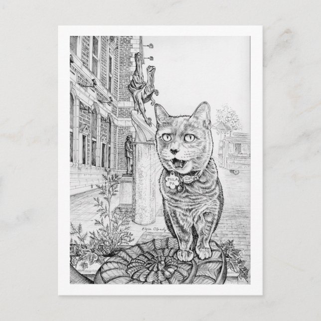 Carte Postale Chat de Philly près de l'Académie des sciences nat (Devant)