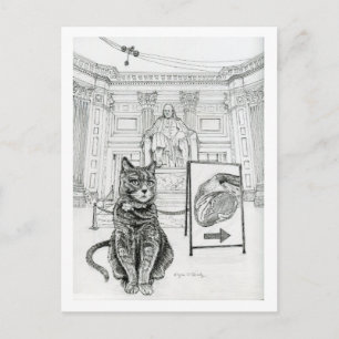 Carte Postale Chat de Philly près du mémorial Franklin
