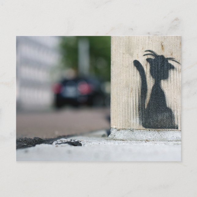 Carte Postale chat de rue (Devant)