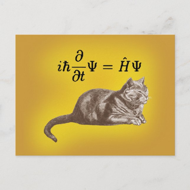 Carte Postale Chat de Schrodinger (Devant)