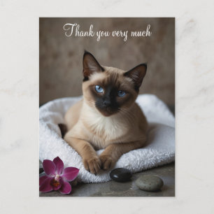 Carte Postale Chat de Siamese en Merci Spa