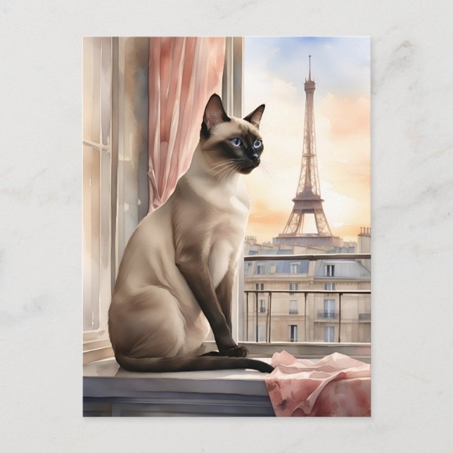 Carte Postale Chat de Siamese Relaxant sur la Fenêtre Parisienne (Devant)