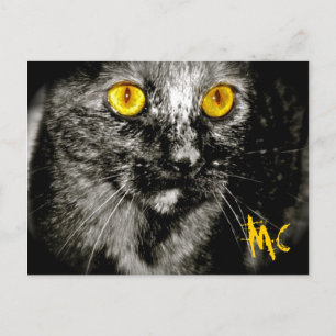 Carte postale Chat de singe