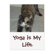 Chat de Yoga
