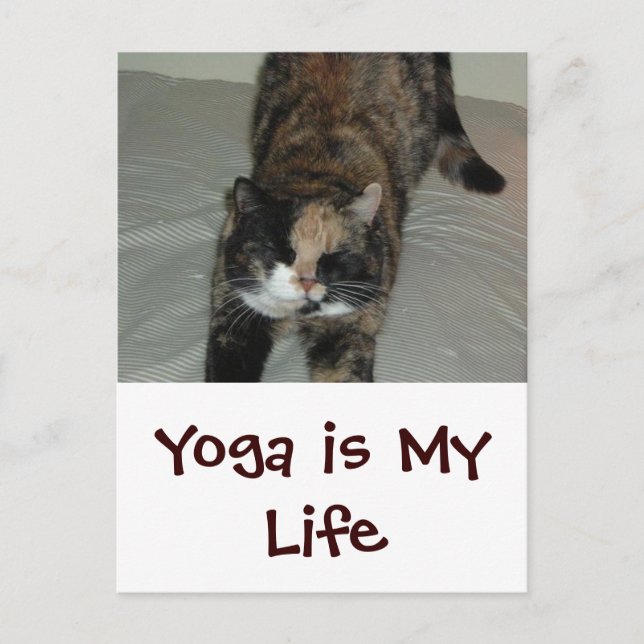 Carte Postale Chat de Yoga (Devant)