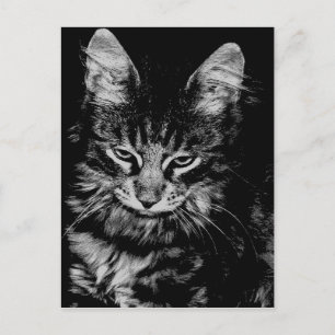 Carte Postale Chat des Forêts Norvégien