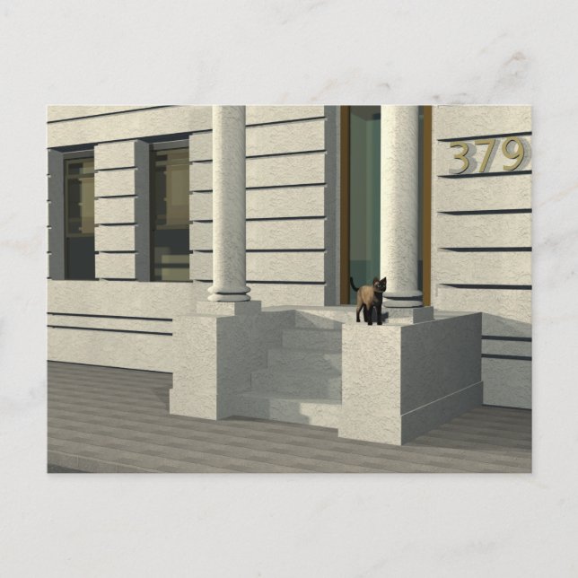 Carte Postale Chat d'été (Devant)