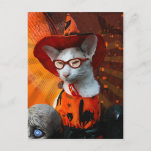 Carte Postale Chat d'Halloween