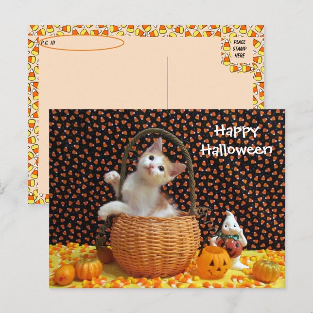 Carte Postale Chat d'Halloween d'Annie (Devant / Derrière)