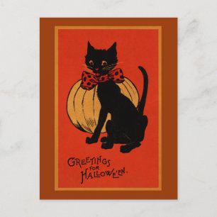 Carte Postale Chat d'Halloween et Citrouille