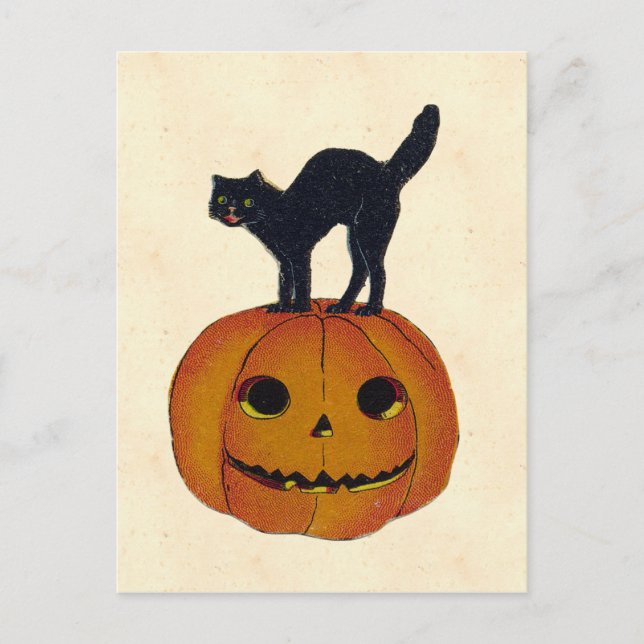 Carte Postale Chat d'Halloween vintage (Devant)
