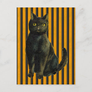 Carte Postale Chat d'Halloween vintage