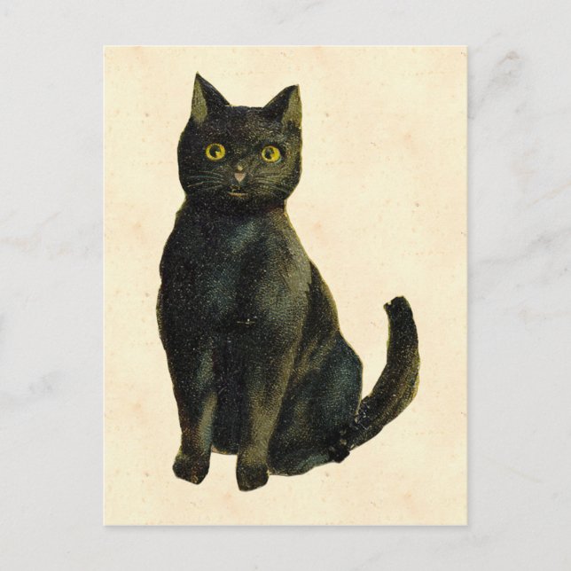 Carte Postale Chat d'Halloween vintage (Devant)