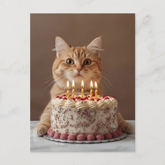 Carte Postale Chat drôle avec gâteau d'anniversaire (Devant)