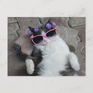 Carte Postale Chat drôle avec lunettes roses